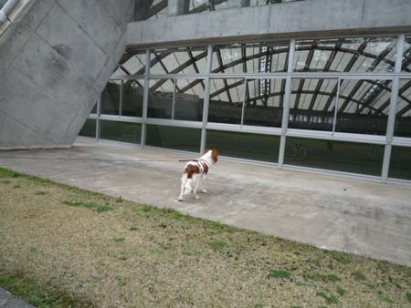 P1010272